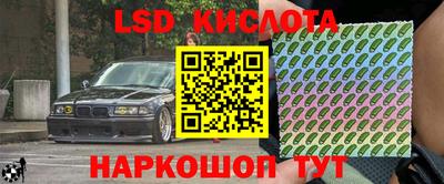 прущие крисы Будённовск