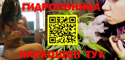 прущие крисы Будённовск
