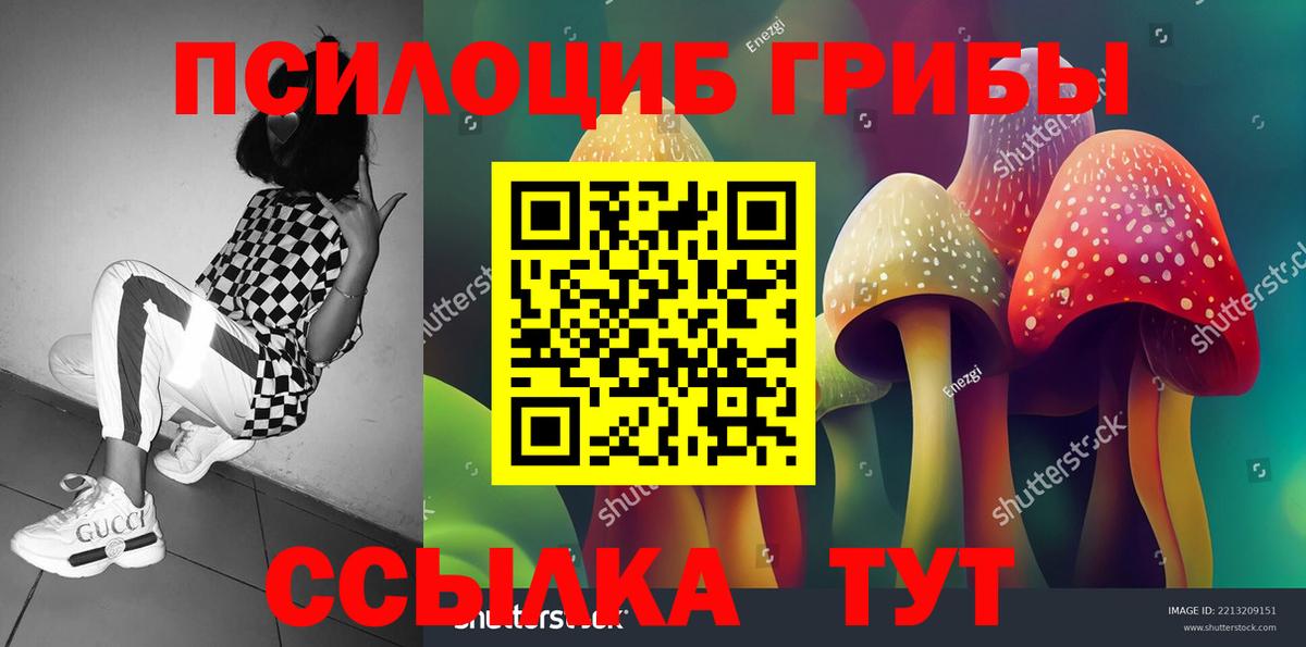 Щёлково  Галлюциногенные грибы Magic Shrooms  купить   Вход с VPN 