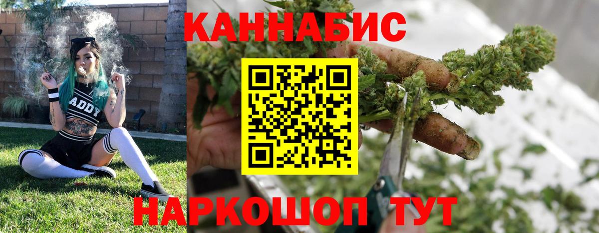 Шишки марихуана конопля Щёлково